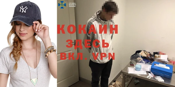 молекула духа Бородино