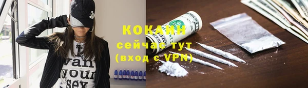 гидропоника Богданович