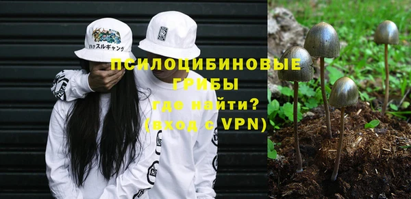 гидропоника Богданович