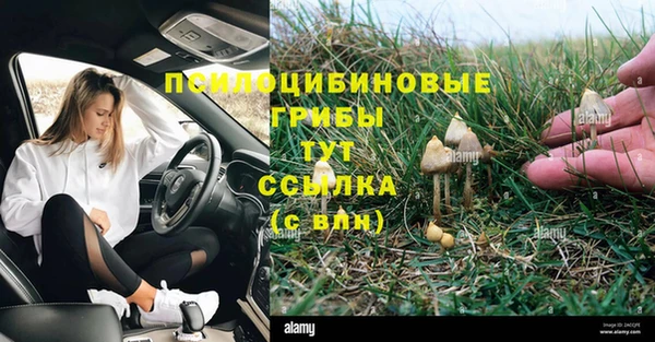 молекула духа Бородино