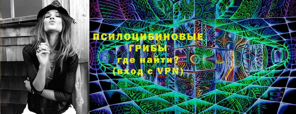 гидропоника Богданович