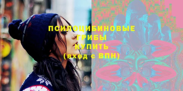 прущие грибы Бронницы