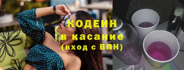 прущие грибы Бронницы