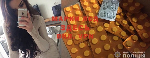 молекула духа Бородино